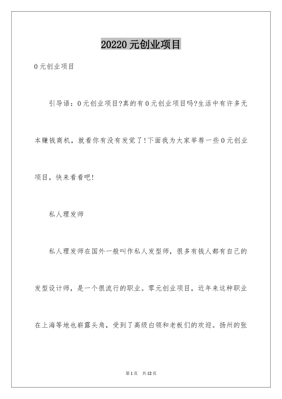 20240元创业项目_第1页