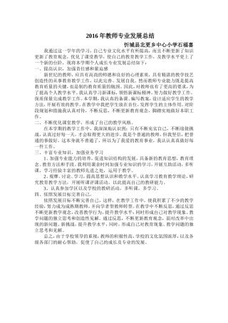 2016年教师专业发展总结