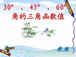 锐角三角函数值