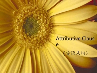 高一英语课件：定语从句1