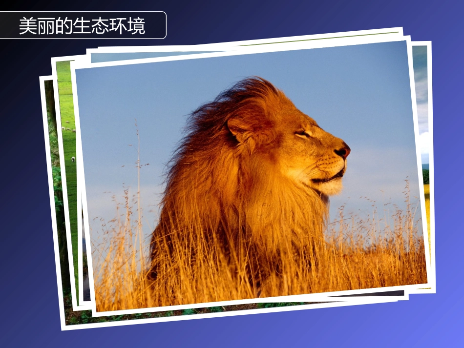 中国区域生态环境问题及其防治途径_第2页