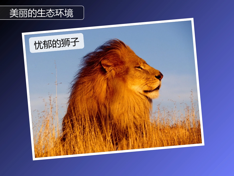 中国区域生态环境问题及其防治途径_第3页