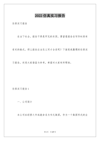 2024仿真实习报告