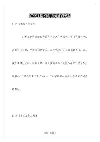 2024IT部门年度工作总结