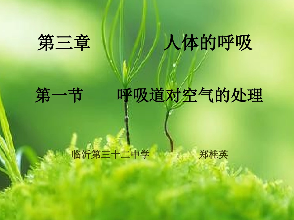呼吸道对空气的处理课件_第3页