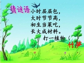 《笋芽儿》课件 (2)