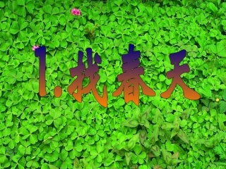 找春天课件 ()