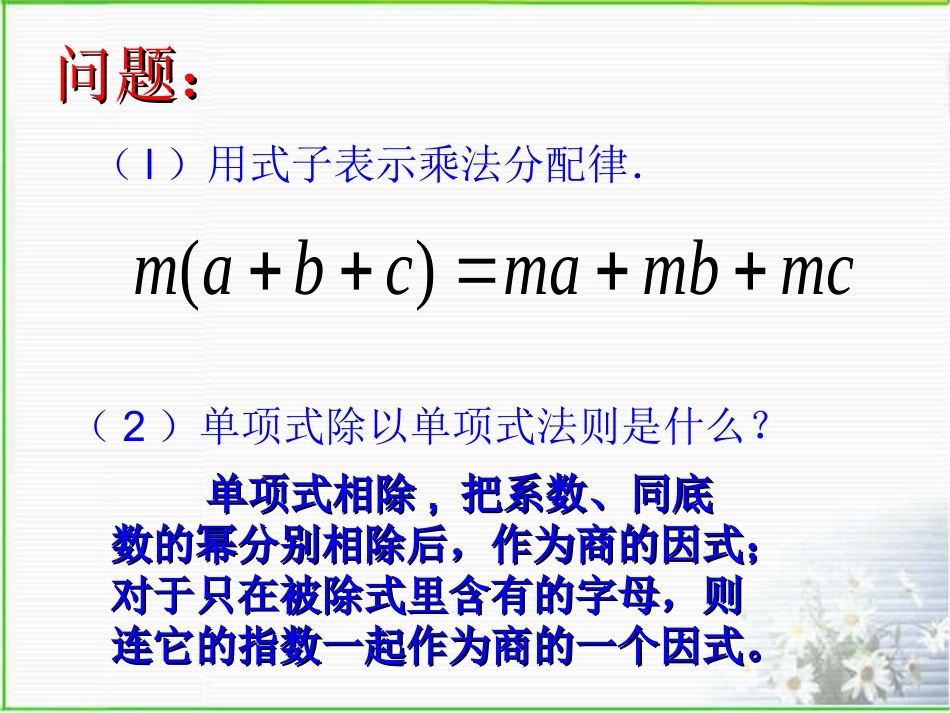 多项式除以单项式(2)_第2页