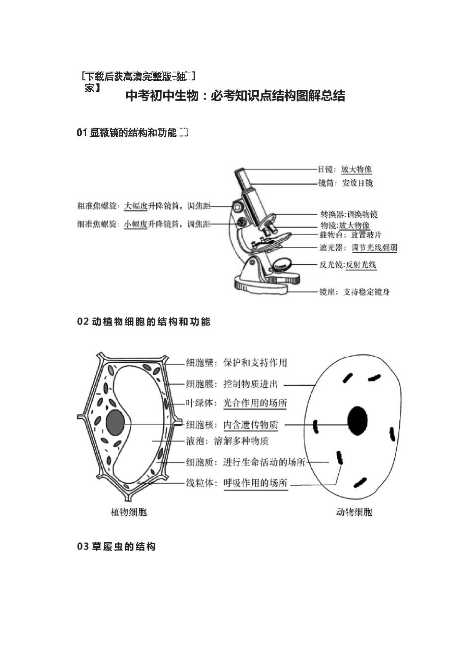 [荐]中考初中生物：必考知识点结构图解总结_第1页