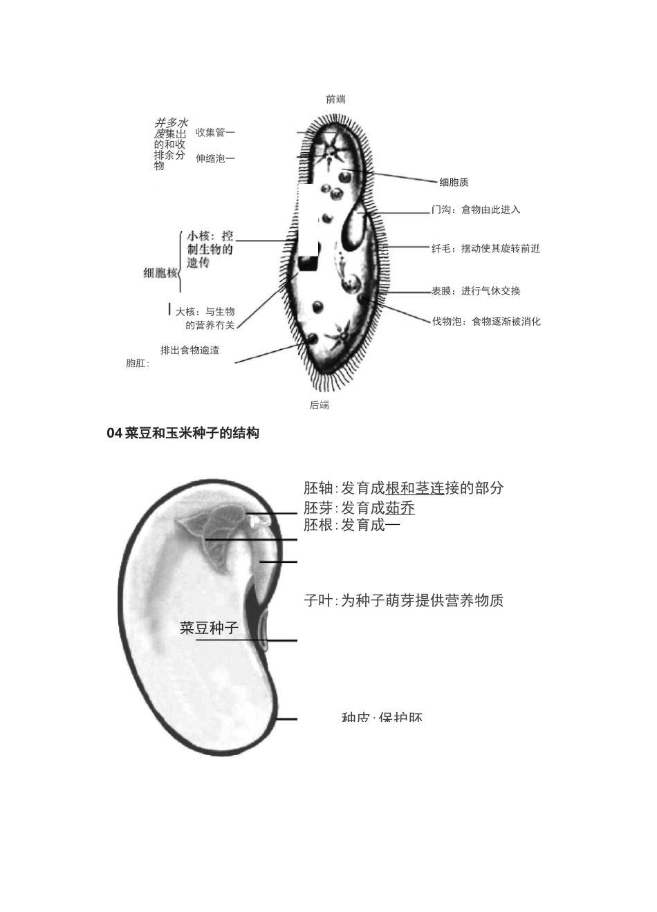 [荐]中考初中生物：必考知识点结构图解总结_第2页
