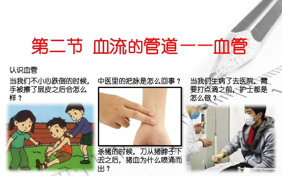 第二节血流的管道——血管_第1页