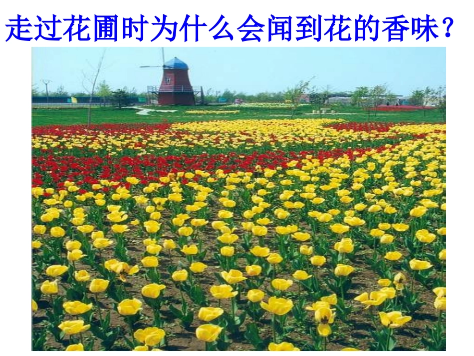 分子和原子-_第3页