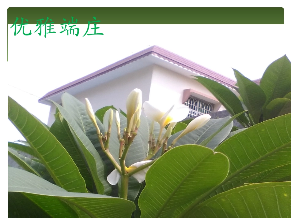 生命像一条河_第3页