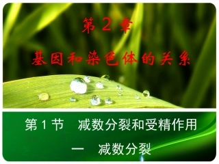 减数分裂和受精作用