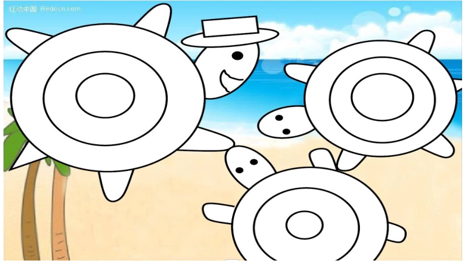 《乌龟》美术课件_第3页