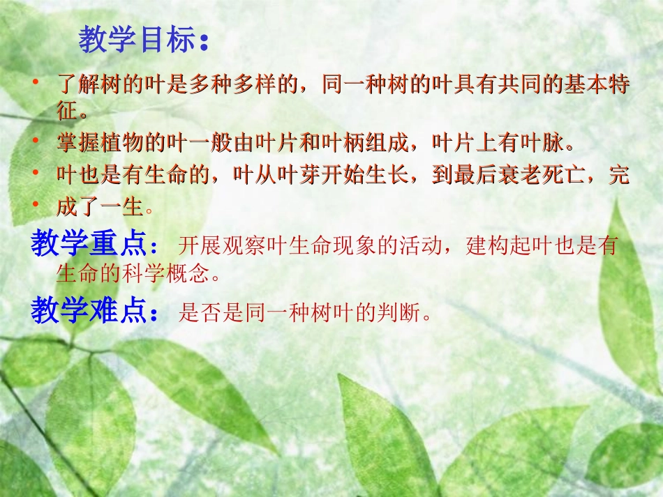 三年级上册植物的叶_第2页