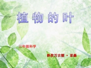 三年级上册植物的叶