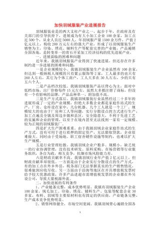 加快羽绒服装产业发展报告