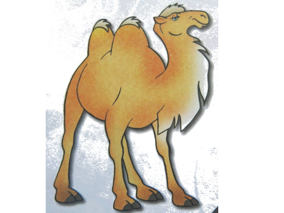 大班语言：看图编儿歌_第3页