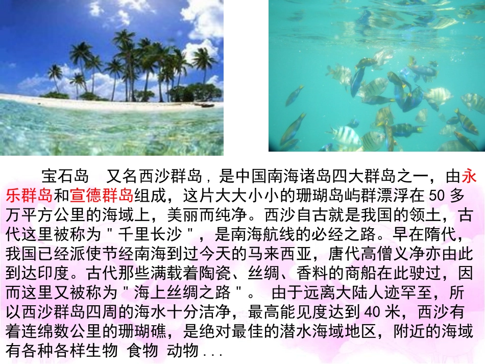 《彩色的翅膀》教学课件_第3页