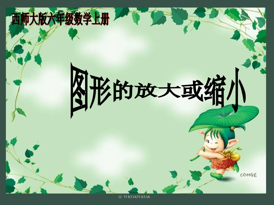 图形放大缩小正式_第1页