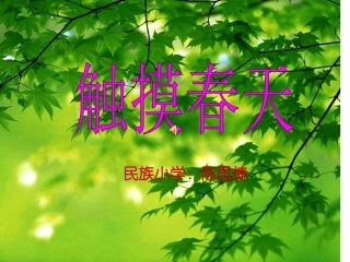 触摸春天-课件