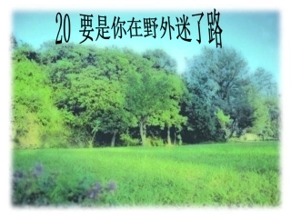 要是你在野外迷了路