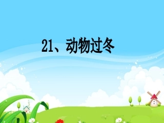 动物过冬课件