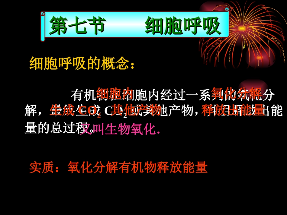 高二生物细胞呼吸_第2页