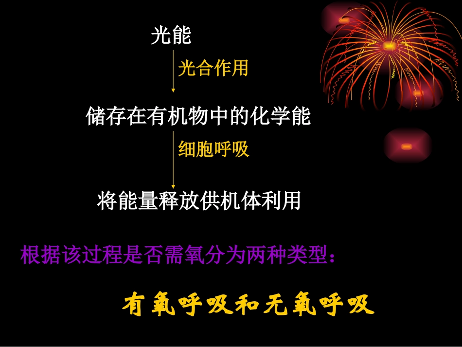 高二生物细胞呼吸_第3页