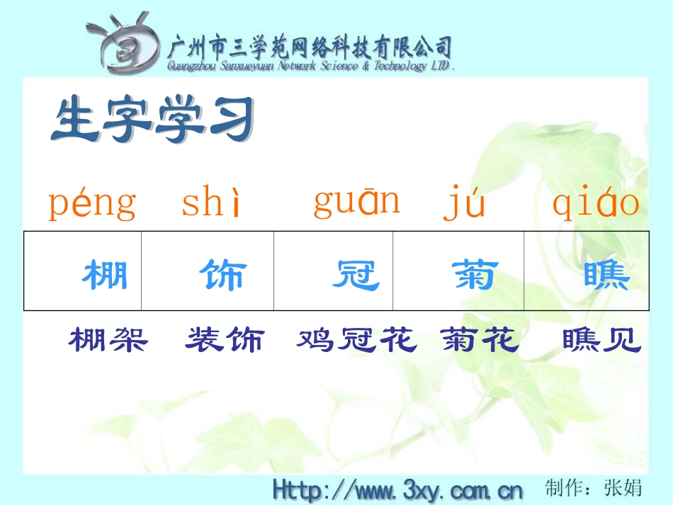 乡下人家教学课件_第3页