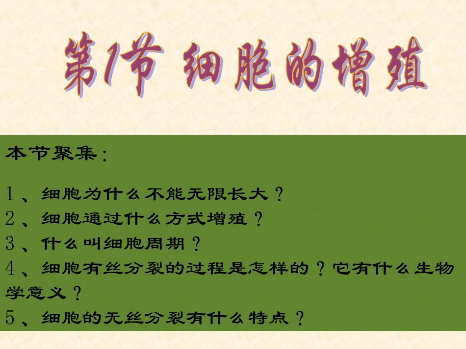--细胞的增值-课件_第2页