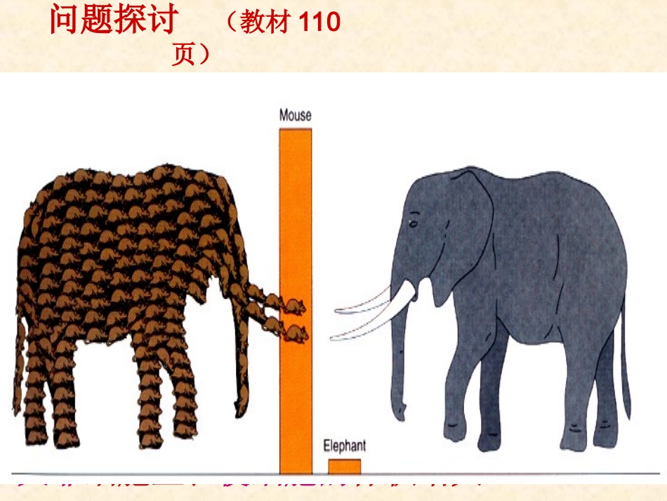 --细胞的增值-课件_第3页