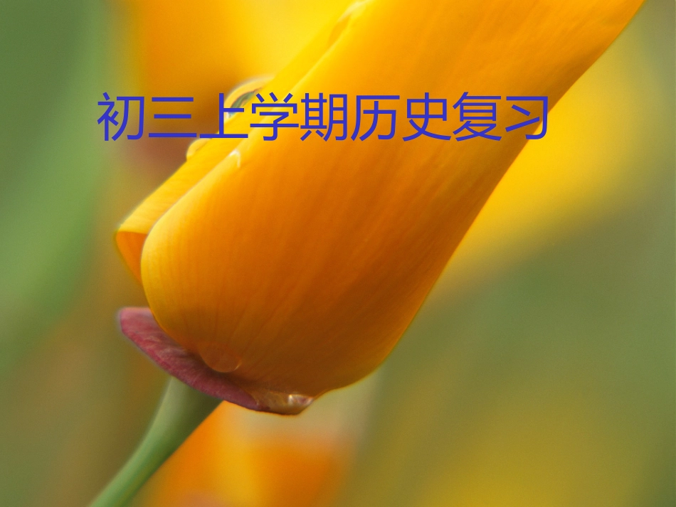 初三上学期历史复习_第1页
