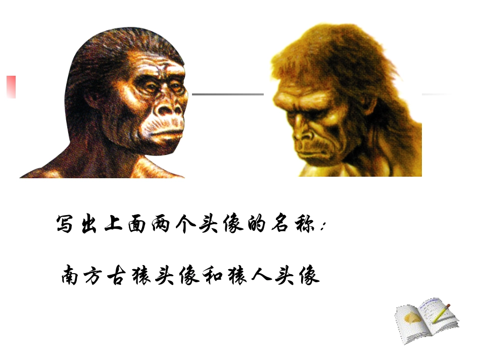 初三上学期历史复习_第2页