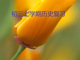 初三上学期历史复习