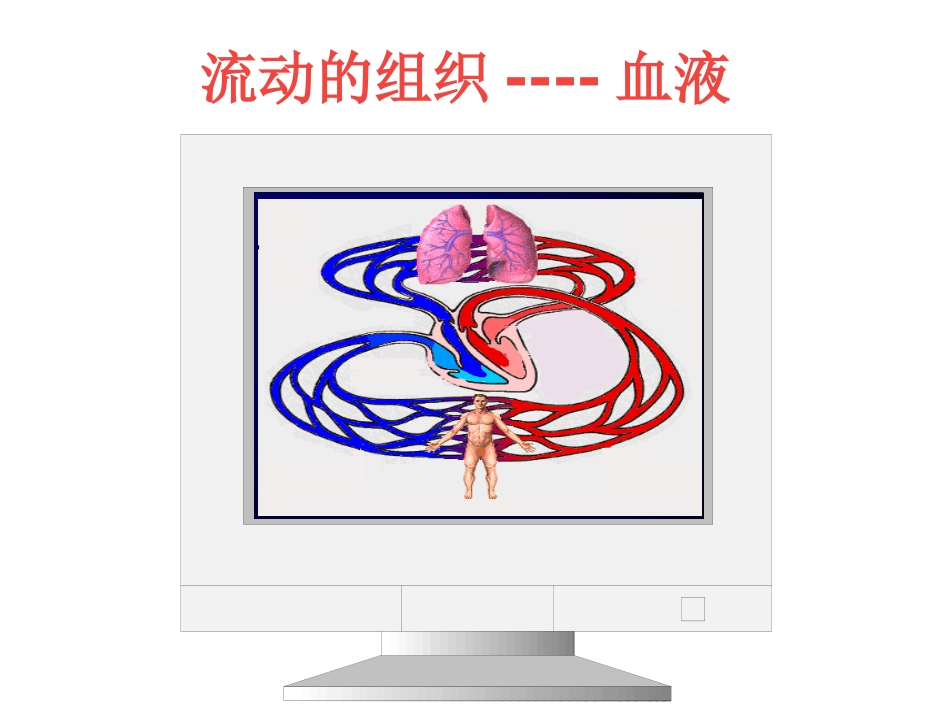 流动的组织—血液课件11_第2页