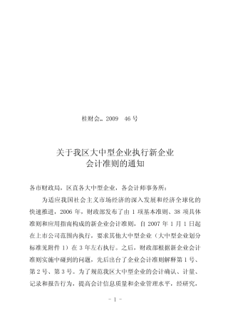 桂财会〔2009〕46号