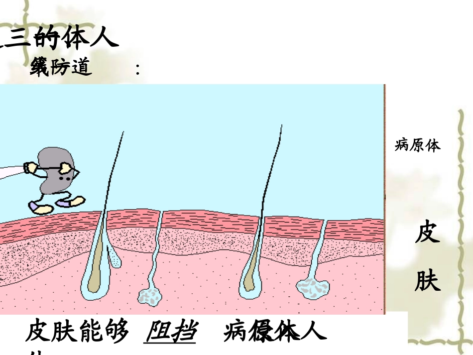 第二节免疫与计划免疫_八年级下册生物课件11_第2页