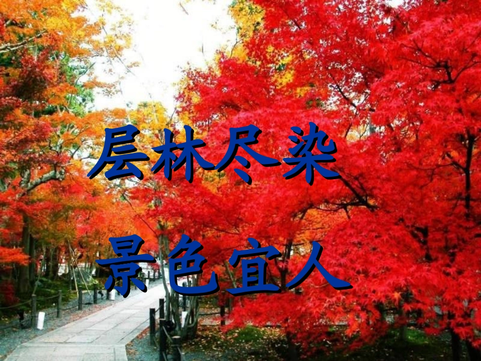 二年级上册语文识字一_第2页