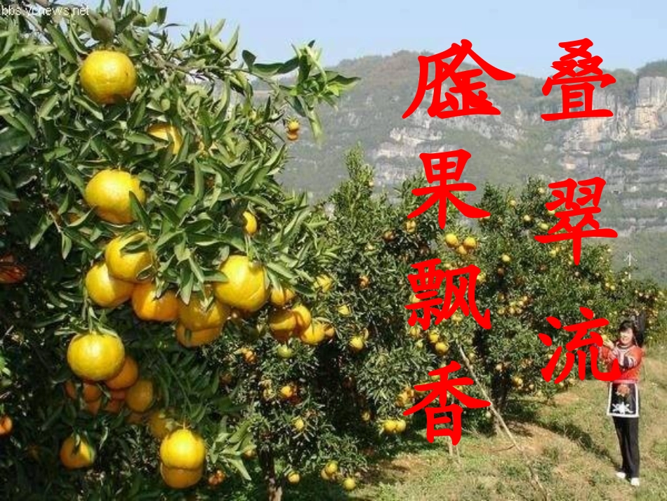 二年级上册语文识字一_第3页