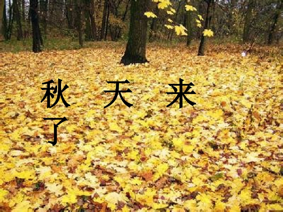秋天演示文课件_第2页