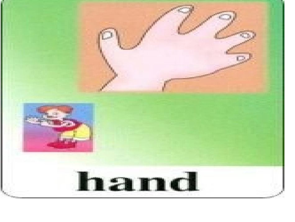 三上英语词汇图_第2页