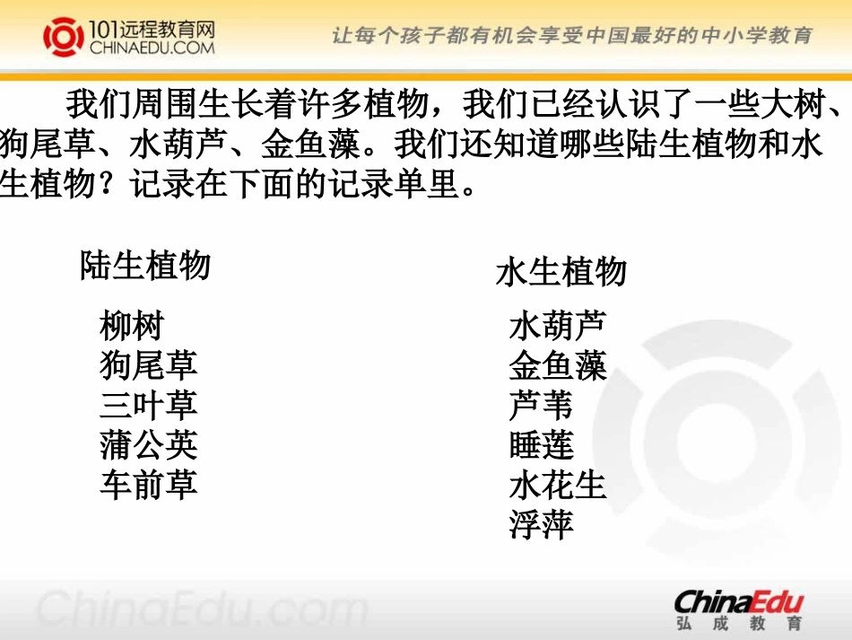 植物有哪些相同特点PPT三上 ()_第2页