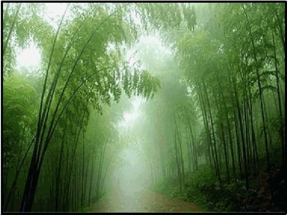 伯牙绝弦00_第1页