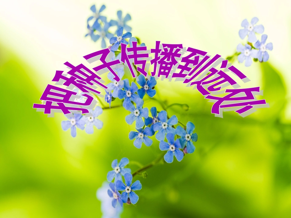 把种子散播到远处-上课_第1页