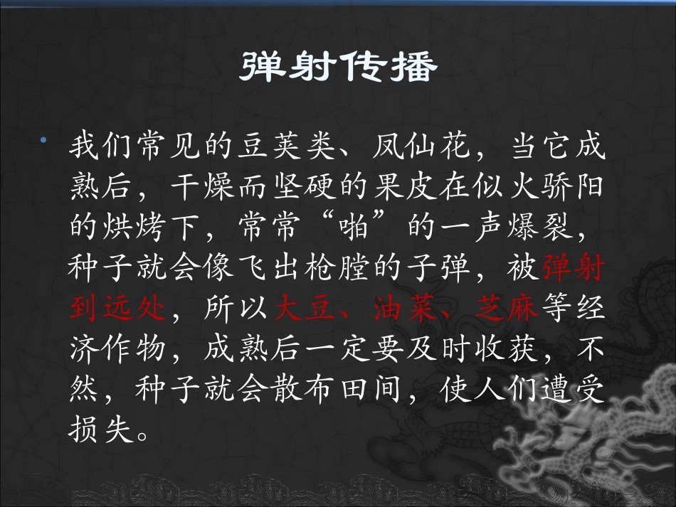 把种子散播到远处-上课_第3页