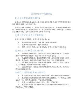 建立企业会计核算制度