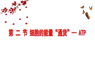 细胞的能量“通货”——ATP