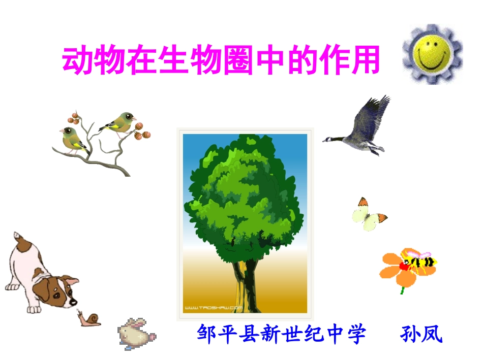 动物在生物圈中的作用_第1页